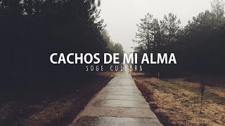 CACHOS DE MI ALMA  SOGE CULEBRA LETRA [upl. by Alphonsa]