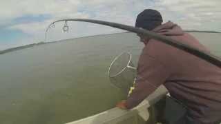 Flathead Fishing Victoria Point Bait amp Tackle in the Logan River [upl. by Yeliak]