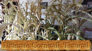 Ultimate Fake Cornstalk Tutorial [upl. by Sinnylg]