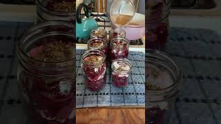 beet kvass and pickled beets [upl. by Johnstone]