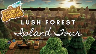 LUSH FORESTCORE ISLAND TOUR  Animal Crossing New Horizons [upl. by Ahsirk]