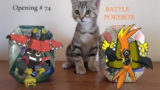 Opening  74  BATTLE Pokebox  Tokorico Vs Tokotoro  Groot fait LArbitre [upl. by Nodarse68]