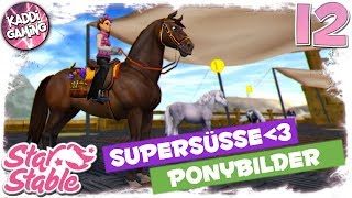 Star Stable Online Süße Ponybilder 12  LETS PLAY 🎮  Kaddi Gaming 🌺 [upl. by Aihsyla378]