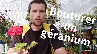 TUTO Bouturer des géraniums [upl. by Singband]