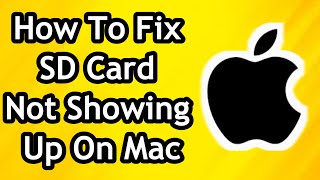 How To Fix SD Card Not Showing Up On Mac  Full Tutorial [upl. by Sirrom472]