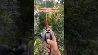 Pancing nyangkut di pelepah sawit babat habis pohon sawit nya😂😂 anglermania mancing lucu ikan [upl. by Nirahs]