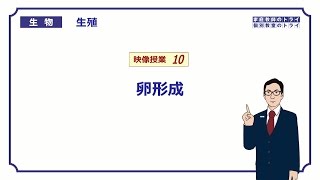 【高校生物】 生殖10 卵形成（１７分） [upl. by Demetre]