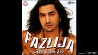 Fazlija  Dosta je tuge i bola  Audio 2003 [upl. by Arahsat237]