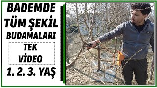 TEK VİDEODA BADEMDE 1 2 3 YAŞ BUDAMASI [upl. by Ahsuat]