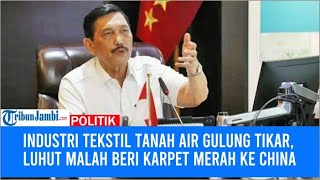 Industri Tekstil Tanah Air Gulung Tikar Luhut Malah Beri Karpet Merah Pabrik asal China di RI [upl. by Ansilme]