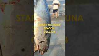 START NG TUNA SEASON  OCT 272024  Waway Tv17  fishing angler [upl. by Rendrag]