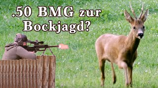 Mit der Fortmeier 50 BMG zur Bockjagd  Vorbereitungen fürs neue Jagdjahr  THunting [upl. by Alexa938]