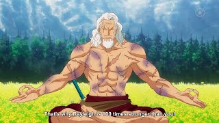 Rayleigh Reveals Why Its So Powerful  One Piece [upl. by Navar]