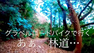 【自転車】雨あられの林道走行、その悲喜交々。【ピンマイク】 [upl. by Katleen48]