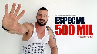 ESPECIAL 500 MIL SUSCRIPTORES  Preguntas y respuestas sobre mi y las hormigas [upl. by Eetsirk]