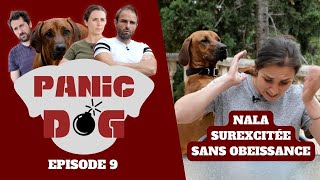 Chien qui nécoute RIEN  INGERABLE   Panic Dog Ep9 [upl. by Naam]