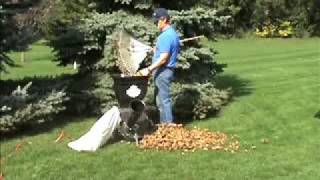 Electric Wood Chipper Leaf Shredder Shredding Leaves [upl. by Auston74]