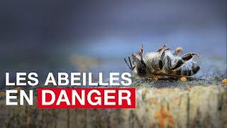 Les abeilles en danger [upl. by Etyam]