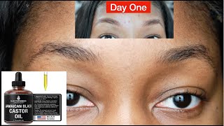 GROW YOUR EYE BROWS QUICK WITH CASTOR OIL ❗️30 DAY CHALLENGE W BEFORE AND AFTER PICTURES ❗️ [upl. by Jocelyn]