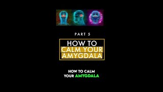 How to calm the amygdala [upl. by Zelle]