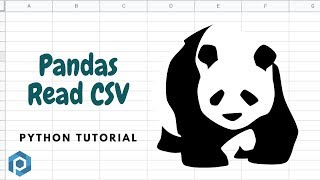 Python  Read CSV in Pandas [upl. by Ydieh707]