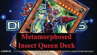 YuGiOh Duel LinksHotspring Cat รีวิวMetamorphosed Insect Queen Deck EP 239 [upl. by Leuas]