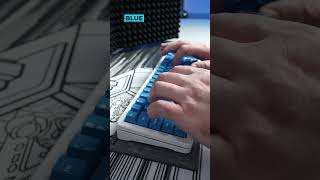 Akko V3 Cream Blue vs Akko V3 Cream Blue Pro Sound Test [upl. by Ilke]