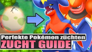 ZUCHT Guide  Tutorial für Pokémon STRAHLENDER DIAMANT  LEUCHTENDE PERLE [upl. by Noswad]