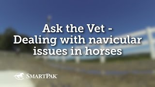 Ask the Vet  Dealing with Navicular issues in horses [upl. by Abercromby130]