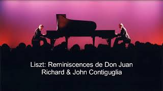 Liszt Reminiscences de Don Juan [upl. by Ojahtnamas206]