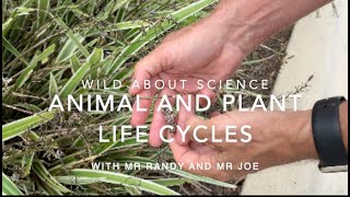 Wild About Science4th GradeLife Cycles of Animals and Plants [upl. by Anneyehc]