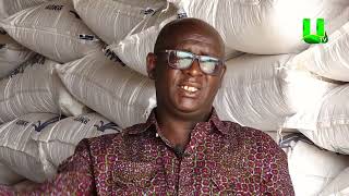 AYEKOO WE HAVE ENOUGH SEEDS FOR 2024 FARMING SEASON  DR FRANCIS KUSI [upl. by Ayital]