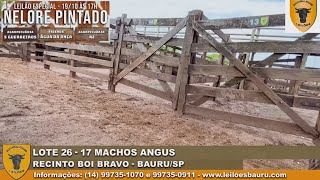 lote 26  17 machos angus [upl. by Fusco]