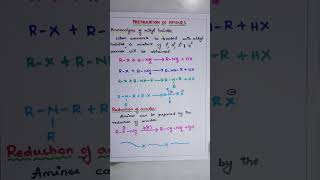 PREPARATION OF AMINES BY AMMONOLYSIS OF ALKYL HYALIDES AND REDUCTION OF AMIDES BSc Second year [upl. by Fesuoy487]