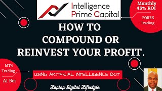 Intelligence Prime Capital IPC  How To Compound or Reinvest Your Profit [upl. by Needan957]