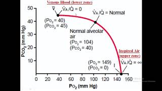 Ventilation Perfusion Ratio [upl. by Yelsiap]