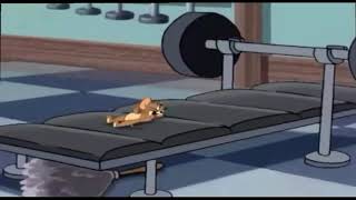 Tom and jerry Film cartoon af somali [upl. by Assiram87]