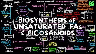 Unsaturated FA amp Eicosanoids  Lipid Metabolism 04  Biochemistry  PP Notes  Lehninger 6E Ch 211 [upl. by Manoop]