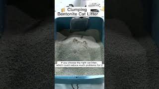 Fast clumping bentonite cat litter [upl. by Brunhilde602]