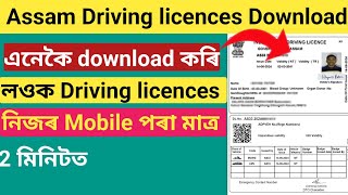 How to Download Driving Licence online  Assam Driving Licence download [upl. by Noleta]