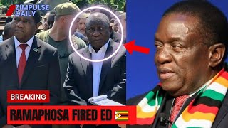 Ramaphosa Joined Hichilema  Against ED 🇿🇼 [upl. by Horick]