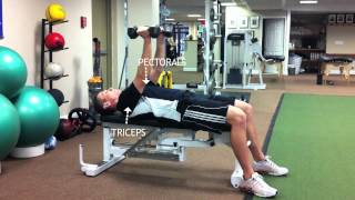 FLAT BENCH HAMMER PRESS [upl. by Salakcin]