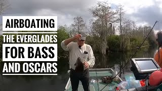 Air boating the Everglades for bass and oscars [upl. by Eiramadnil82]