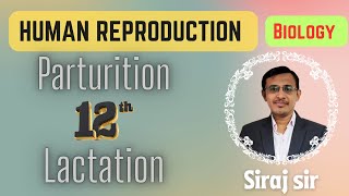 Parturition and Lactation class 12Delivery of foetusDevelopment of mammary gland [upl. by Razaile]