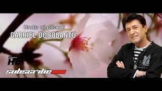 Gabriel Dorobantu  Unde ai plecat Official [upl. by Llohcin]