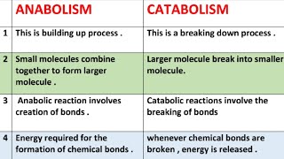 Difference between anabolism and catabolism  anabolism vs catabolism [upl. by Bayer413]