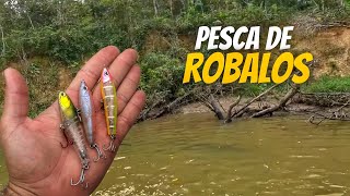 Pesca de ROBALOS nas GALHADAS  SÓ ISCA ARTIFICIAL [upl. by Gawain117]