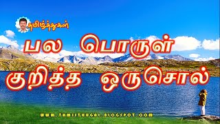 பல பொருள் குறித்த ஒருசொல் சான்றுகள் தமிழ் இலக்கணம் PALA PORUL KURITHA ORUSOL EXAMPLES TAMIL ILAKANAM [upl. by Pitzer]