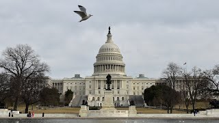 Senate Passes Stopgap Spending Bill [upl. by Hamann]