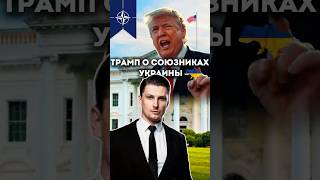 Сын Трампа о союзниках Украины Что думаешь [upl. by Saidnac]